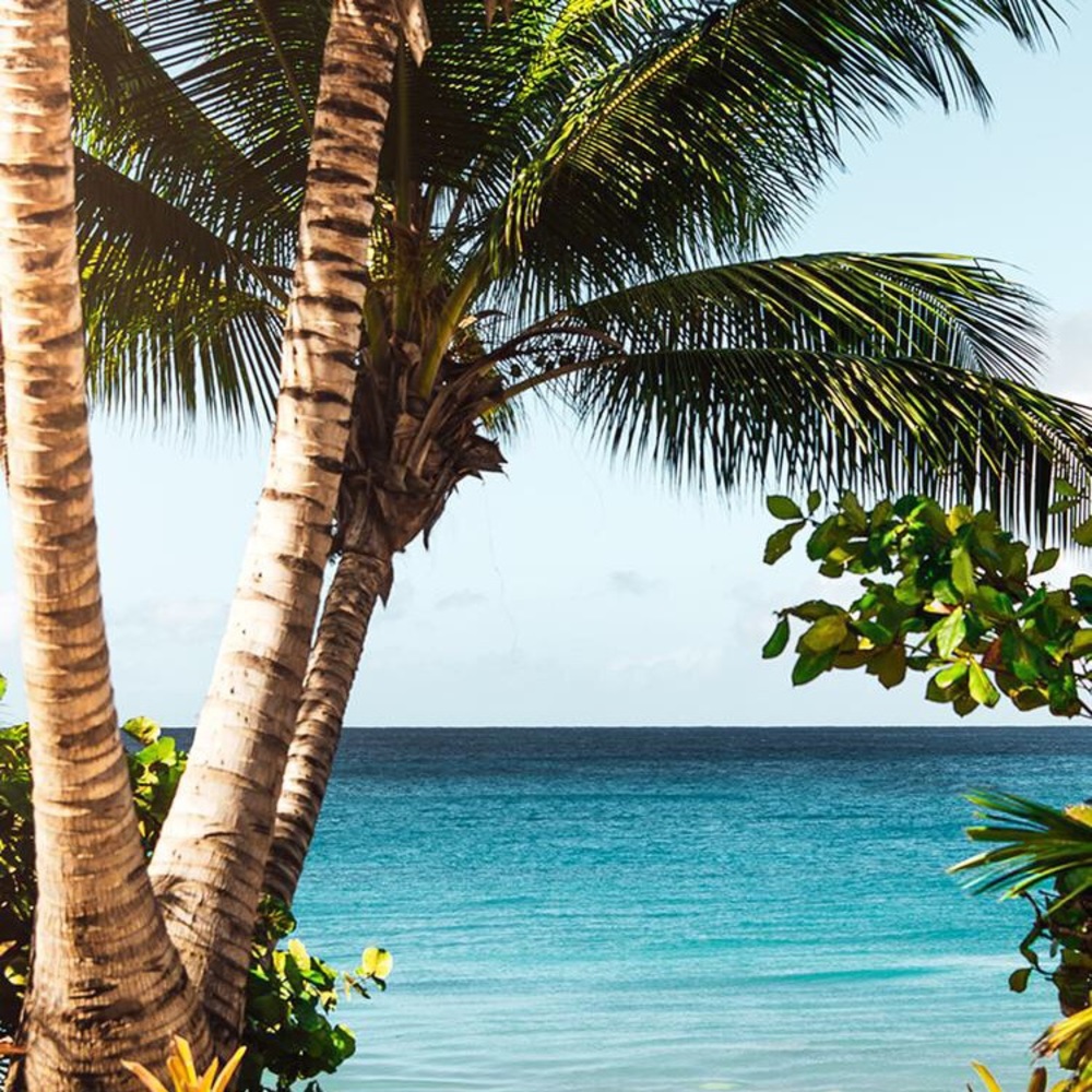 Meet your Posher, Mayra